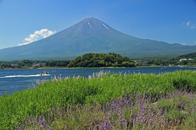 河口湖の富士