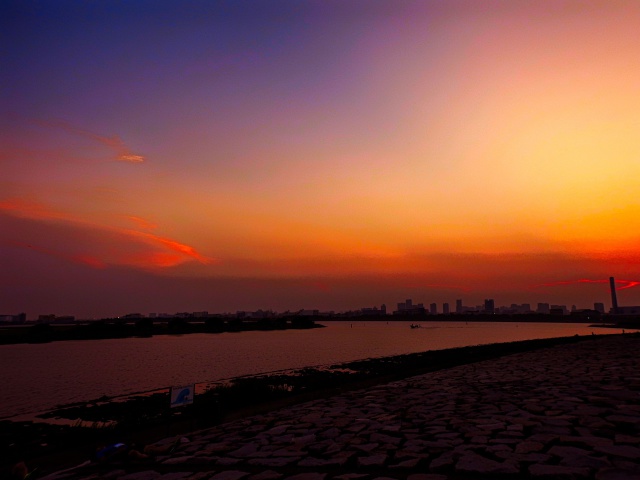 葛西臨海公園の夕景