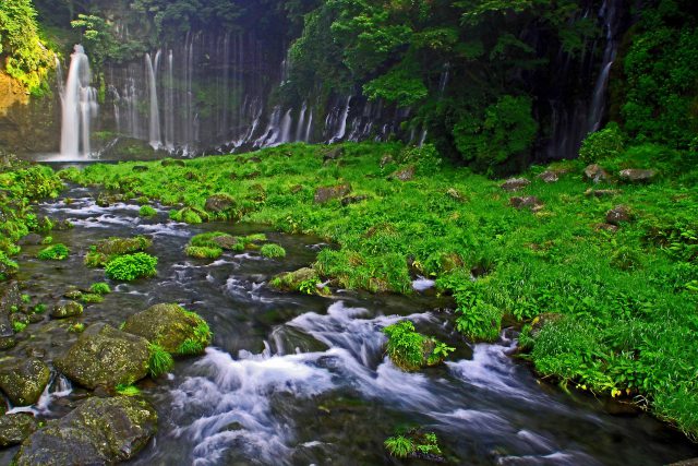 白糸の滝(静岡)