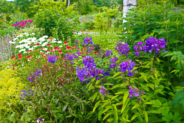 丘の上の花園・十勝ヒルズ