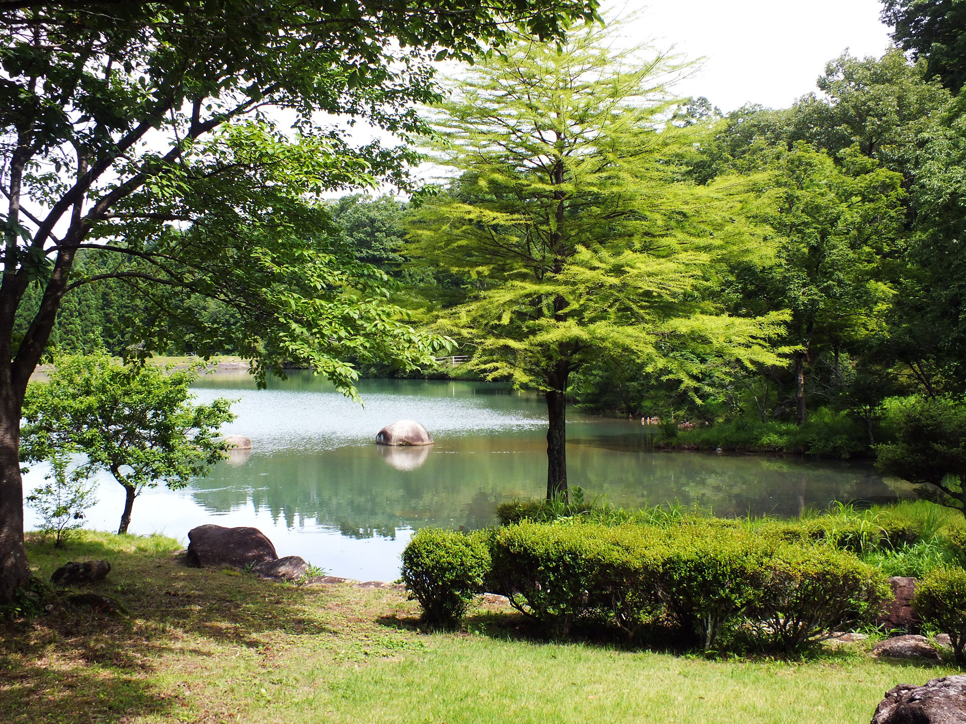 日本の風景 みたけの森 壁紙19x1440 壁紙館