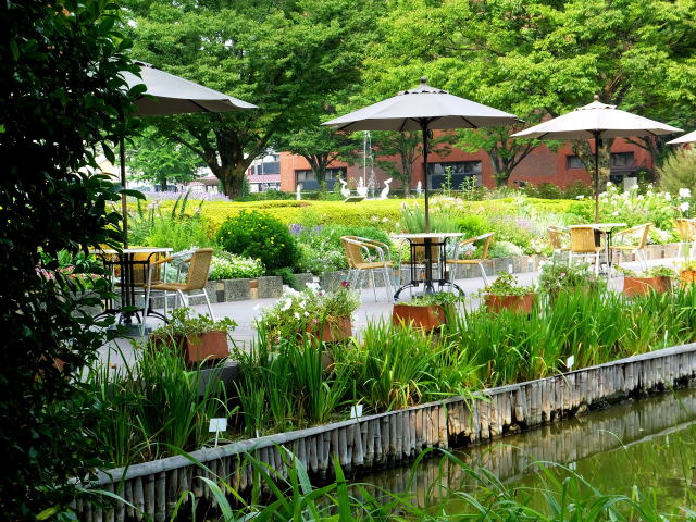 梅雨明けの公園で