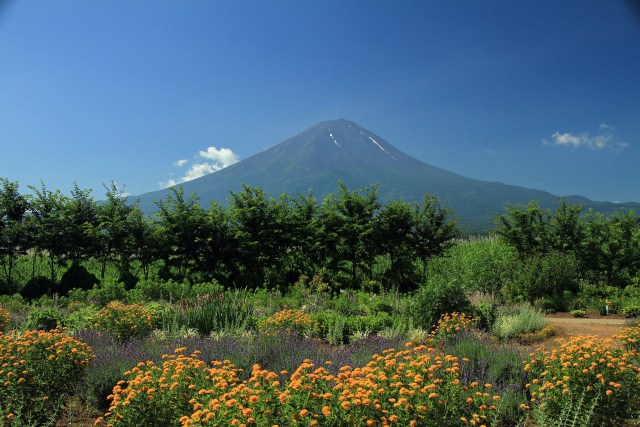 河口湖の富士山