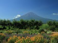 河口湖の富士山