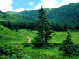 高天原の登山道