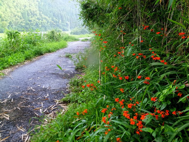 山の小径で