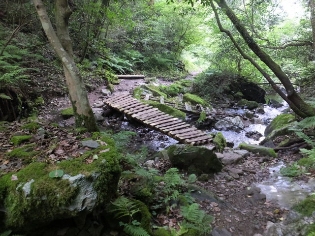 登山道の小さな橋