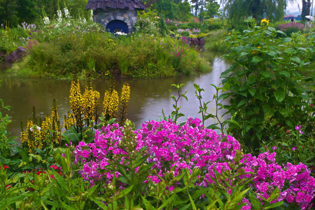 上野ファーム・水辺の花園