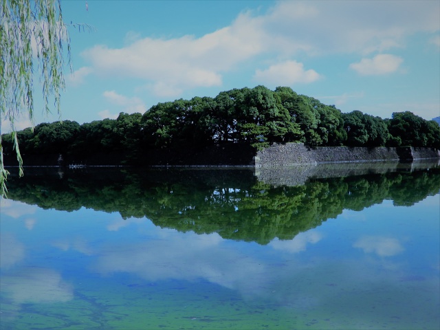 日比谷濠の夏空