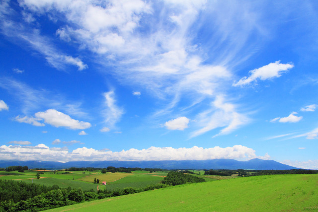 美瑛の夏24～緑の大地と大空