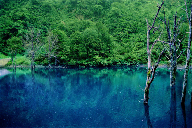 温身平付近の小さなダム湖