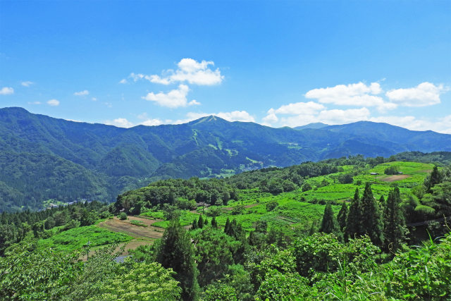 鉢伏山-氷ノ山を望む