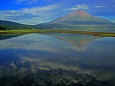 山中湖の夏富士