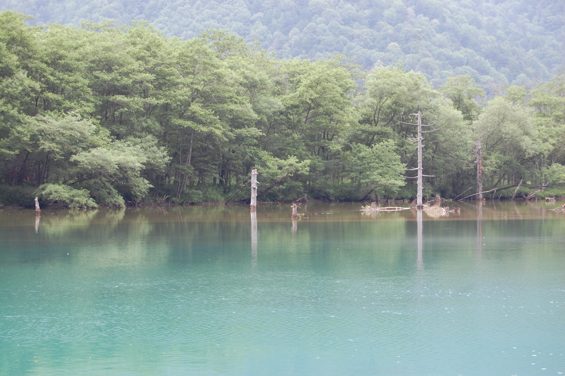 日本の風景 青い池 大正池 壁紙19x1277 壁紙館