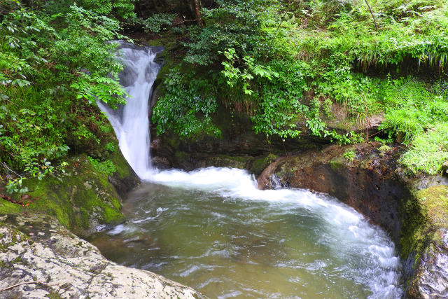 渓流-夏34-鹿ヶ壺-坪ヶ谷渓谷