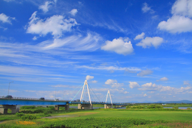 夏の石狩川河口橋