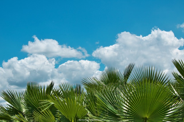 夏空の向こう