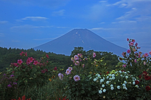 忍野八海の朝