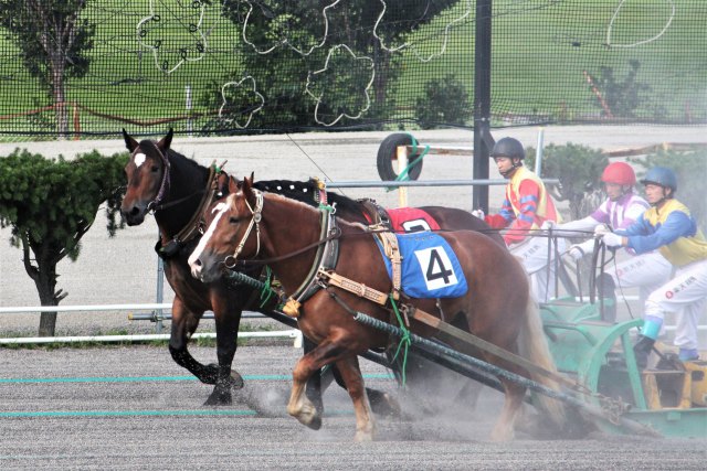 ばんえい競馬