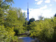 スカイツリーが見える日本庭園