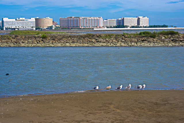 葛西臨海公園からTDLホテル群