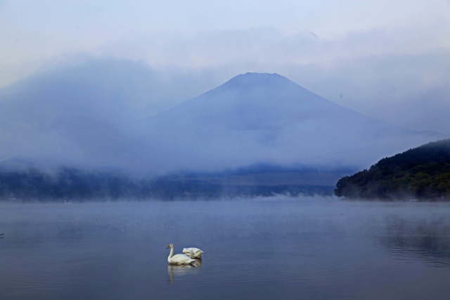 朝靄の富士