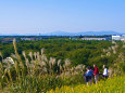 ひたち海浜公園 彼方に筑波山