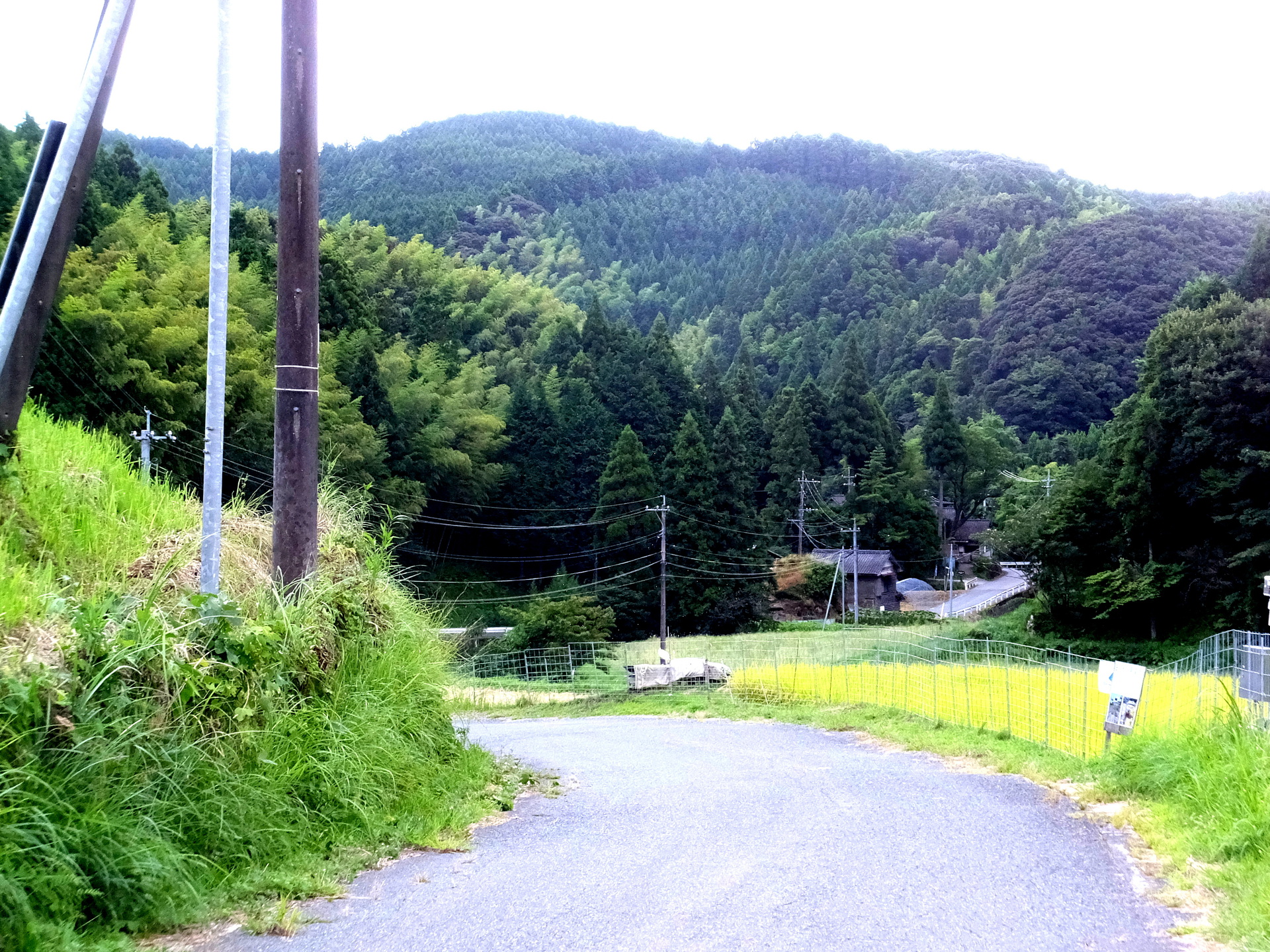 日本の風景 田舎道 壁紙19x1440 壁紙館