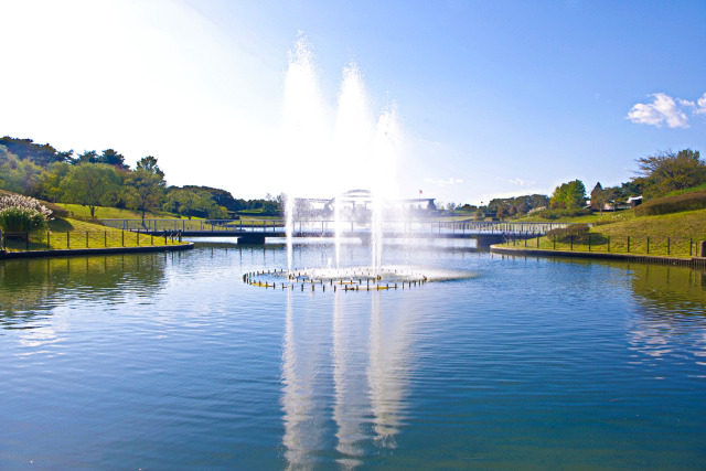 ひたち海浜公園の大噴水