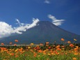 初秋の富士山