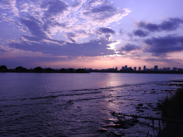 葛西臨海公園にて