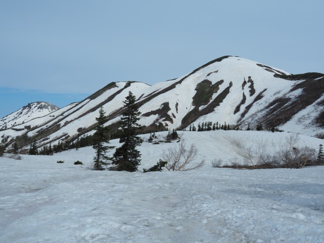 六月の火打山