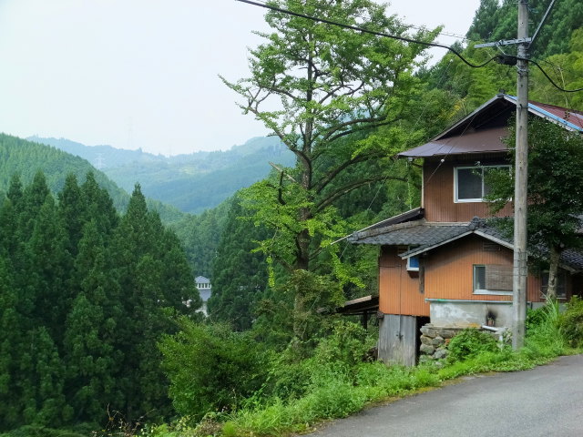 奥山の旅の途中で