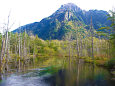  岳沢湿原と六百山