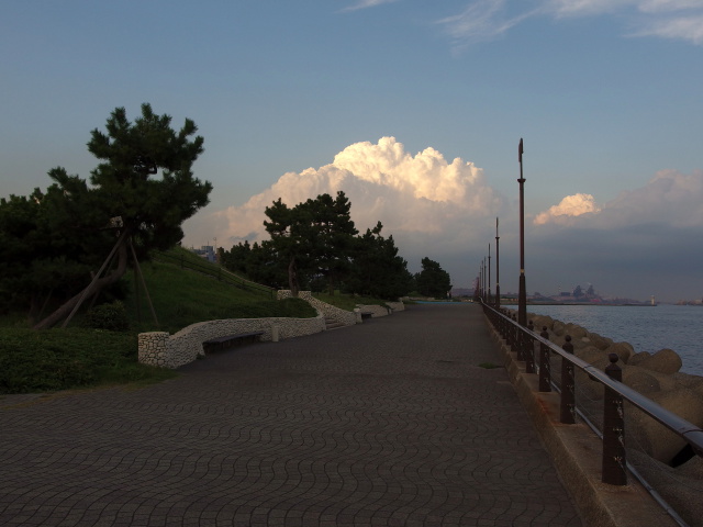 海釣り公園にて