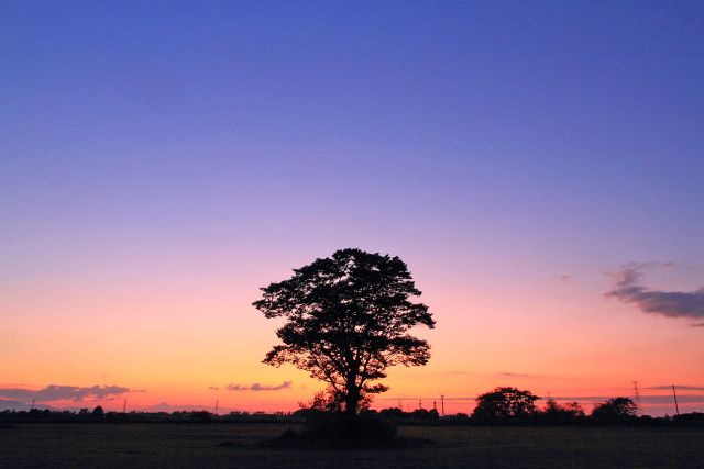 夕彩の一本木～石狩平野