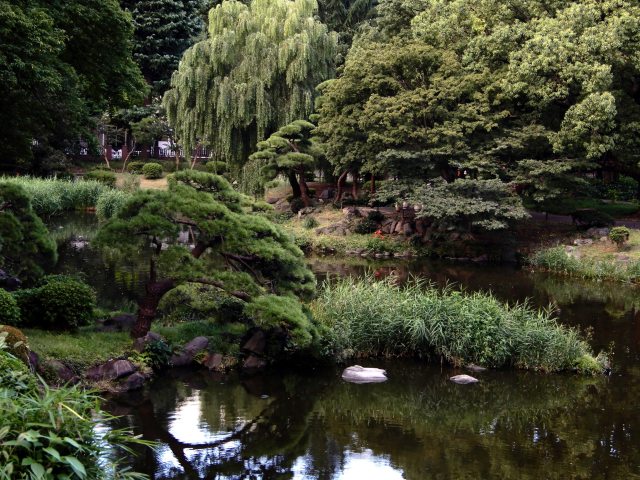 日比谷公園にて