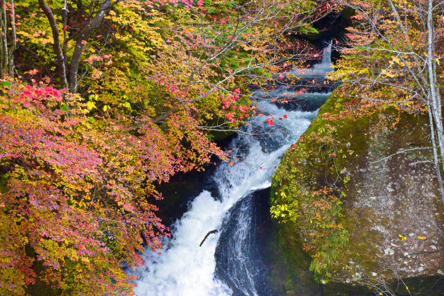 竜頭の滝