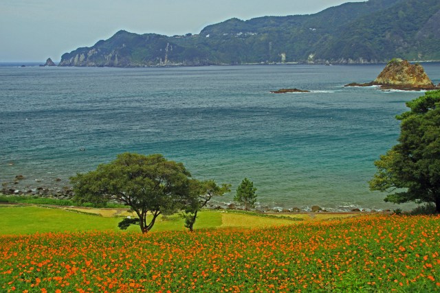 伊豆の海