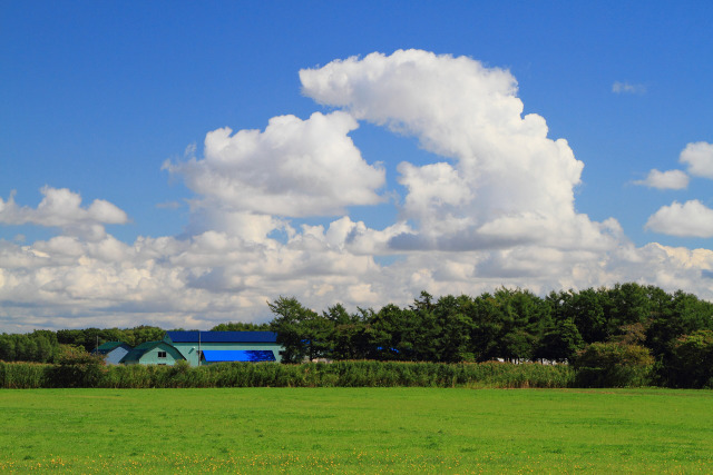 綿雲群れる秋の空