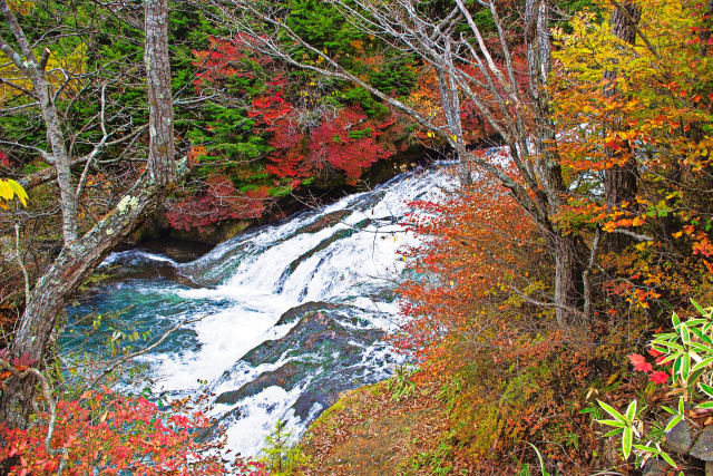 紅葉の竜頭の滝上流