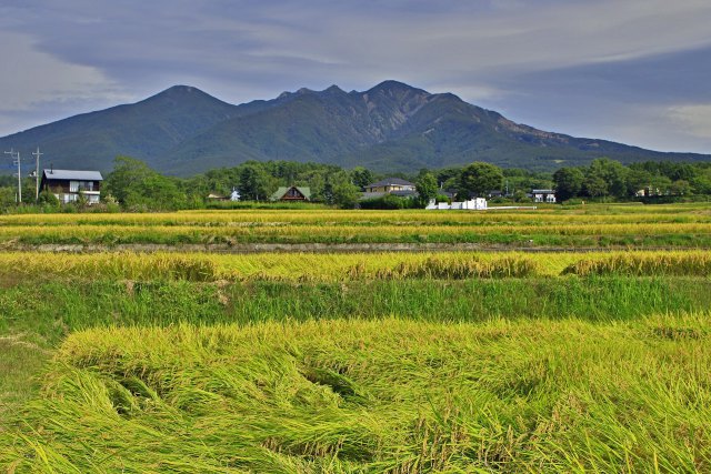 八ヶ岳