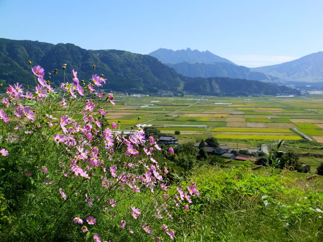 向こうに見える阿蘇根子岳