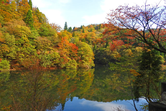 紅葉の季節を待ちわびて