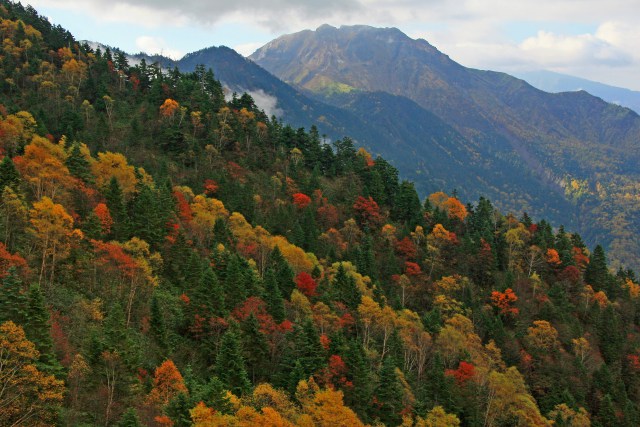 秋の山肌(後方は焼岳)