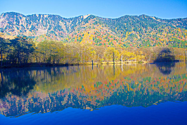 紅葉映す大正池