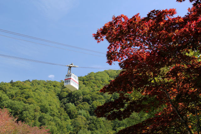 紅葉に見送られて