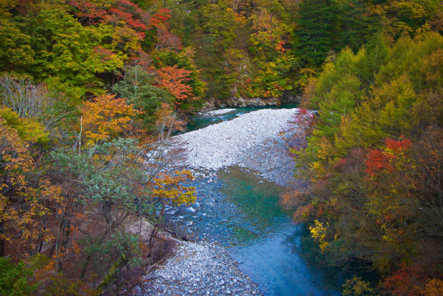 西沢渓谷 下流の紅葉