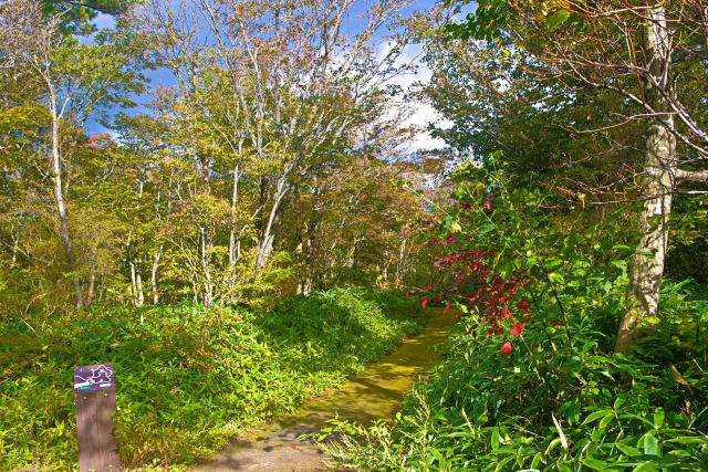 那須 平成の森