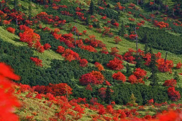 山田峠の紅葉